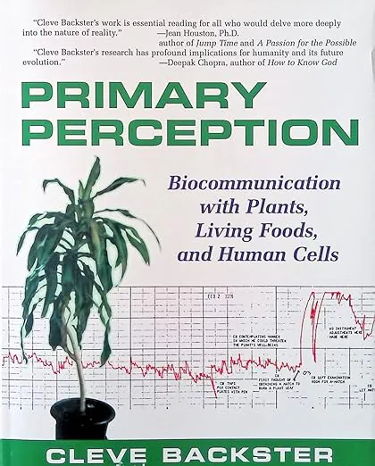 Primary Perception
