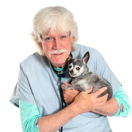 Dr. Kevin Fitzgerald